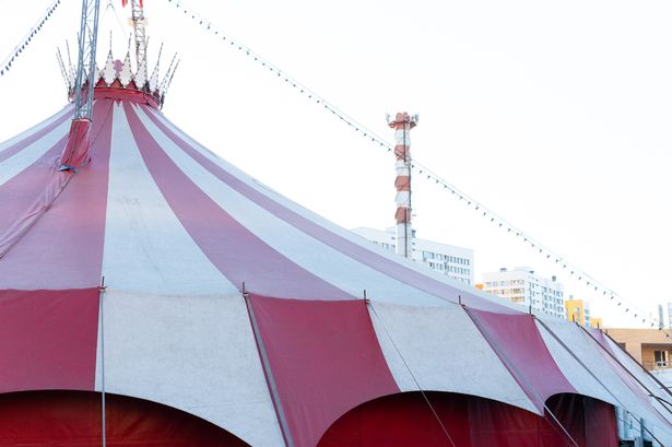 Circus performer falls to death during daring stunt in front of horrified crowd