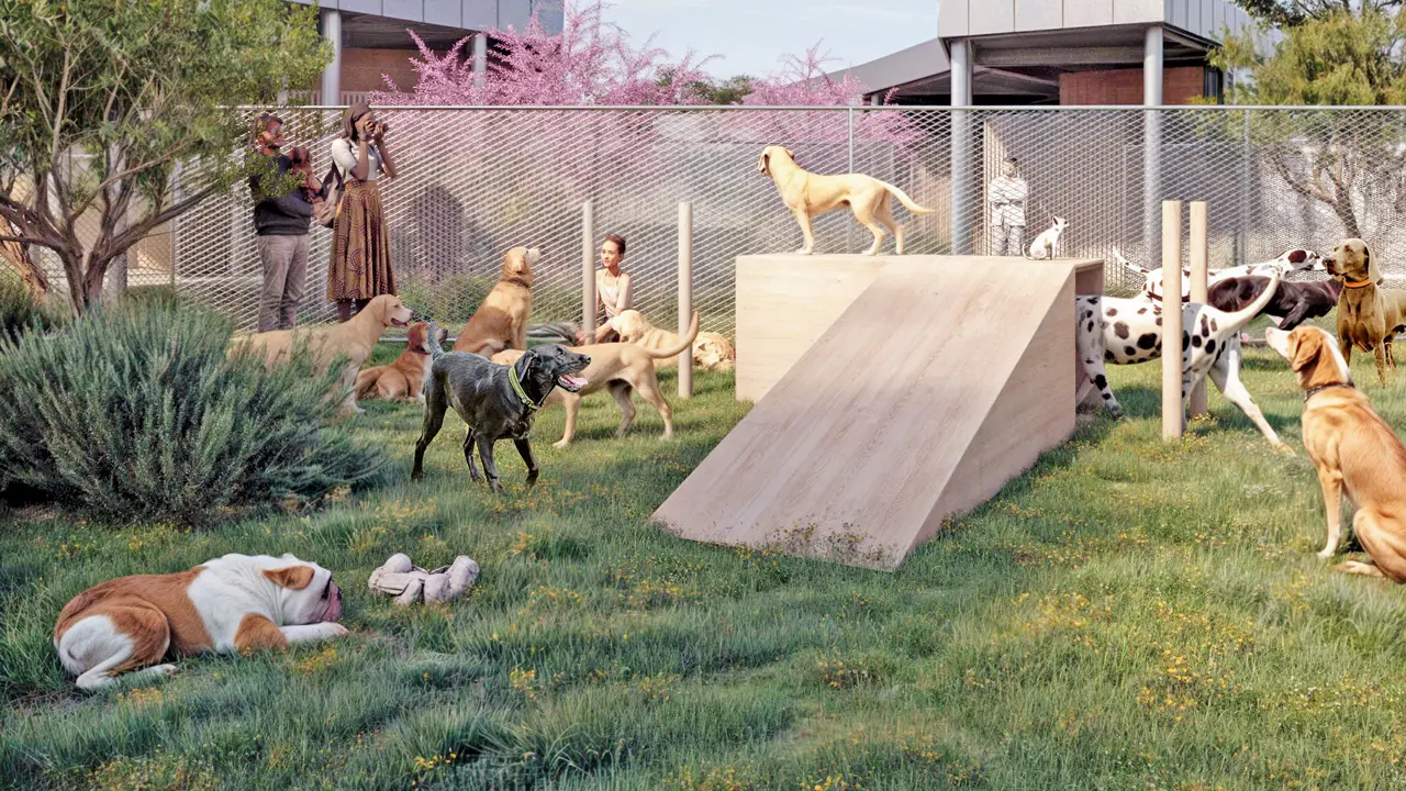 Rome: Fiumicino Airport opens dog-friendly hotel for stress-free travel
