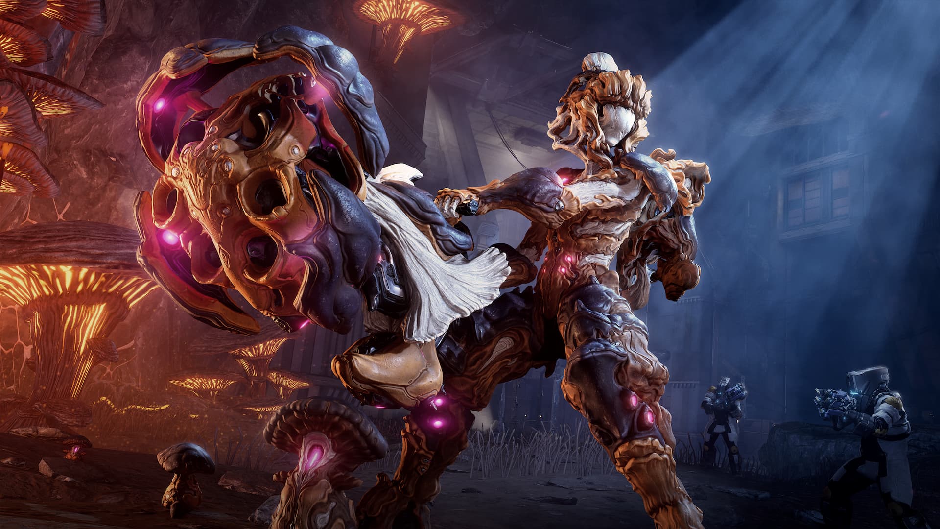 What is the release date of Nokko in Warframe?