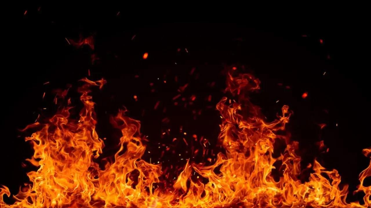 Car catches fire after hitting tree in Jaipur`s Phagi, driver escapes unhurt