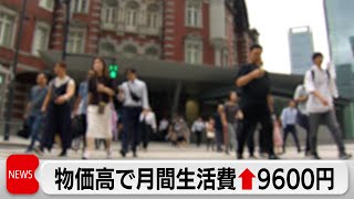 Rising Living Costs Squeeze 80% of Households in Japan