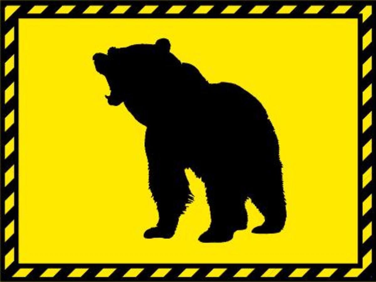 クマに襲われ60代男性けが　福島、キノコ採り中